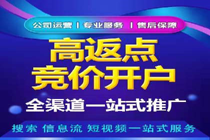百度推广活动策划，实战案例展示